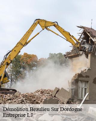 Démolition beaulieu-sur-dordogne-19120 Entreprise LJ